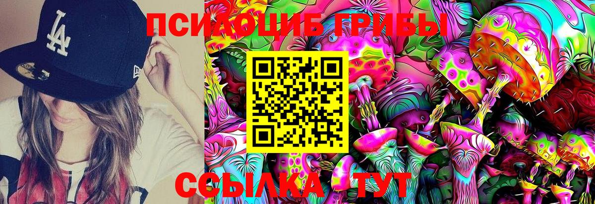 Галлюциногенные грибы Magic Shrooms Новотроицк